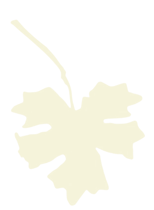 Leaf Texture